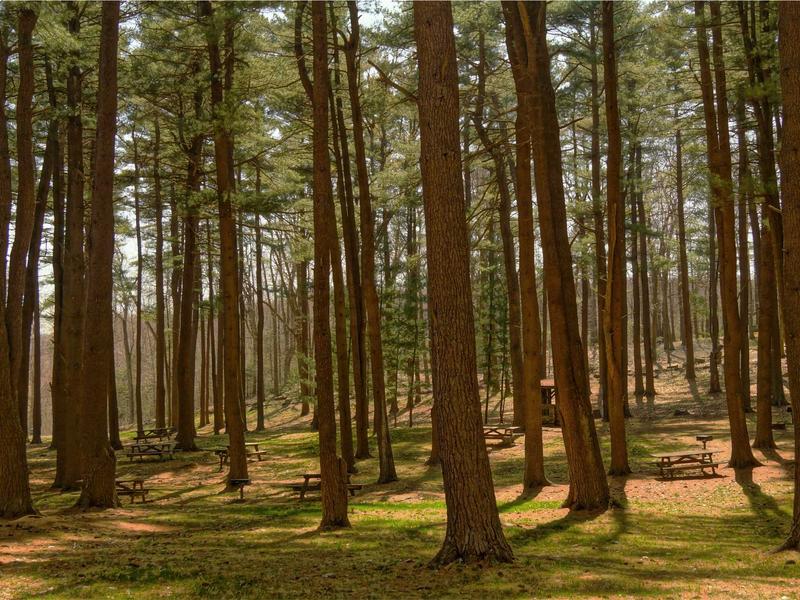 sudoku hard screenshot 1